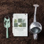 Plantable Postcards